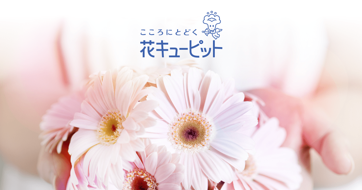 井上生花店の詳細ページ 一般社団法人ｊｆｔｄ 花キューピット 公式